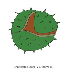 Outline illustration vector image of a chestnut.
Hand drawn artwork of a chestnut. 
Simple cute original logo.
Hand drawn vector illustration for posters, cards, t-shirts.