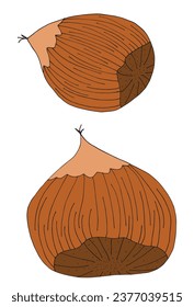 Outline illustration vector image of a chestnut.
Hand drawn artwork of a chestnut. 
Simple cute original logo.
Hand drawn vector illustration for posters, cards, t-shirts.