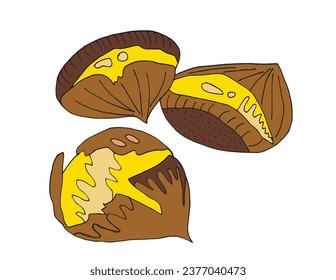 Outline illustration vector image of a chestnut.
Hand drawn artwork of a chestnut. 
Simple cute original logo.
Hand drawn vector illustration for posters, cards, t-shirts.