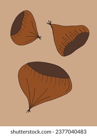 Outline illustration vector image of a chestnut.
Hand drawn artwork of a chestnut. 
Simple cute original logo.
Hand drawn vector illustration for posters, cards, t-shirts.