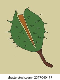 Outline illustration vector image of a chestnut.
Hand drawn artwork of a chestnut. 
Simple cute original logo.
Hand drawn vector illustration for posters, cards, t-shirts.