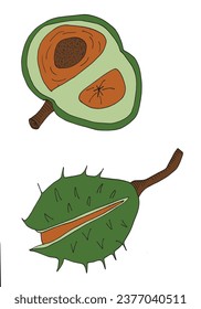 Outline illustration vector image of a chestnut.
Hand drawn artwork of a chestnut. 
Simple cute original logo.
Hand drawn vector illustration for posters, cards, t-shirts.