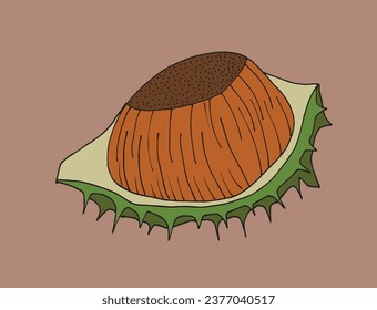 Outline illustration vector image of a chestnut.
Hand drawn artwork of a chestnut. 
Simple cute original logo.
Hand drawn vector illustration for posters, cards, t-shirts.