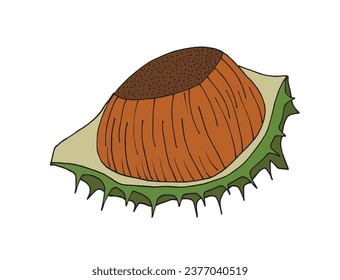 Outline illustration vector image of a chestnut.
Hand drawn artwork of a chestnut. 
Simple cute original logo.
Hand drawn vector illustration for posters, cards, t-shirts.