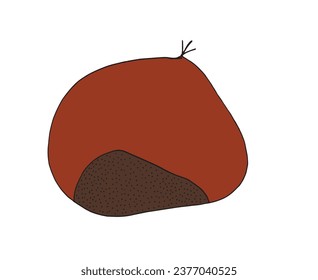 Outline illustration vector image of a chestnut.
Hand drawn artwork of a chestnut. 
Simple cute original logo.
Hand drawn vector illustration for posters, cards, t-shirts.