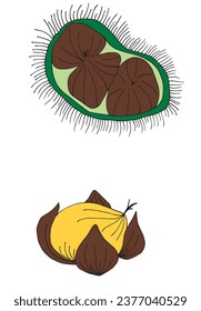 Outline illustration vector image of a chestnut.
Hand drawn artwork of a chestnut. 
Simple cute original logo.
Hand drawn vector illustration for posters, cards, t-shirts.