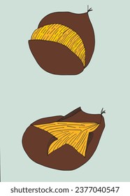 Outline illustration vector image of a chestnut.
Hand drawn artwork of a chestnut. 
Simple cute original logo.
Hand drawn vector illustration for posters, cards, t-shirts.