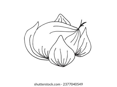 Outline illustration vector image of a chestnut.
Hand drawn artwork of a chestnut. 
Simple cute original logo.
Hand drawn vector illustration for posters, cards, t-shirts.