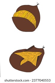 Outline illustration vector image of a chestnut.
Hand drawn artwork of a chestnut. 
Simple cute original logo.
Hand drawn vector illustration for posters, cards, t-shirts.