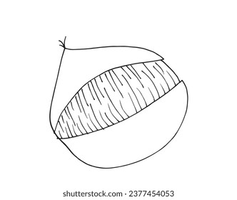 Outline illustration vector image of a chestnut.
Hand drawn artwork of a chestnut. 
Simple cute original logo.
Hand drawn vector illustration for posters, cards, t-shirts.