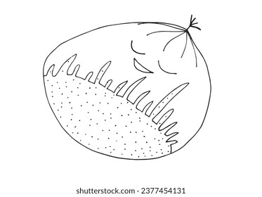 Outline illustration vector image of a chestnut.
Hand drawn artwork of a chestnut. 
Simple cute original logo.
Hand drawn vector illustration for posters, cards, t-shirts.