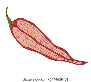 Ilustración de contorno Imagen de Vector de un chile.
Dibujo a mano de un pimiento picante.
Simple lindo logotipo original.
Ilustración vectorial dibujada a mano para carteles.