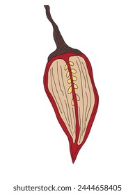 Outline illustration vector image of a chili pepper.
Hand drawn artwork of a hot pepper.
Simple cute original logo.
Hand drawn vector illustration for posters.