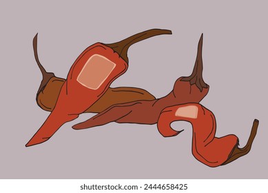 Outline illustration vector image of a chili pepper.
Hand drawn artwork of a hot pepper.
Simple cute original logo.
Hand drawn vector illustration for posters.