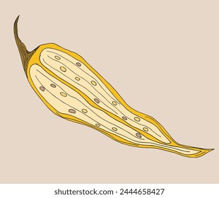 Ilustración de contorno Imagen de Vector de un chile.
Dibujo a mano de un pimiento picante.
Simple lindo logotipo original.
Ilustración vectorial dibujada a mano para carteles.