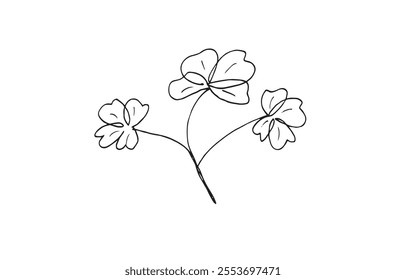 Outline illustration vector image of a clover.
Hand drawn artwork of a clover.
Simple cute original logo.
Hand drawn vector illustration for posters.