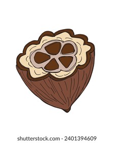 Outline illustration vector image of cocoa bean.
Hand drawn artwork of a fairy tale of a cocoa nibs.
Simple cute original logo.
Hand drawn vector illustration for posters, cards, t-shirts.