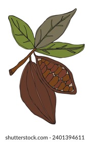 Outline illustration vector image of cocoa bean.
Hand drawn artwork of a fairy tale of a cocoa nibs.
Simple cute original logo.
Hand drawn vector illustration for posters, cards, t-shirts.