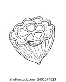 Outline illustration vector image of cocoa bean.
Hand drawn artwork of a fairy tale of a cocoa nibs.
Simple cute original logo.
Hand drawn vector illustration for posters, cards, t-shirts.