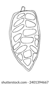 Outline illustration vector image of cocoa bean.
Hand drawn artwork of a fairy tale of a cocoa nibs.
Simple cute original logo.
Hand drawn vector illustration for posters, cards, t-shirts.