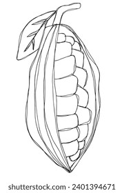 Outline illustration vector image of cocoa bean.
Hand drawn artwork of a fairy tale of a cocoa nibs.
Simple cute original logo.
Hand drawn vector illustration for posters, cards, t-shirts.