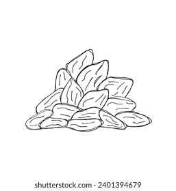 Outline illustration vector image of cocoa bean.
Hand drawn artwork of a fairy tale of a cocoa nibs.
Simple cute original logo.
Hand drawn vector illustration for posters, cards, t-shirts.