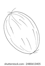 Outline illustration vector image of a coconut.
Hand drawn artwork of a coconut.
Simple cute original logo.
Hand drawn vector illustration for posters.