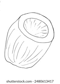 Outline illustration vector image of a coconut.
Hand drawn artwork of a coconut.
Simple cute original logo.
Hand drawn vector illustration for posters.