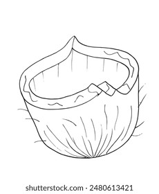 Outline illustration vector image of a coconut.
Hand drawn artwork of a coconut.
Simple cute original logo.
Hand drawn vector illustration for posters.