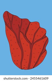 Ilustración de contorno Imagen de Vector de un coral.
Obra de arte dibujada a mano de un coral.
Simple lindo logotipo original.
Ilustración vectorial dibujada a mano para carteles.