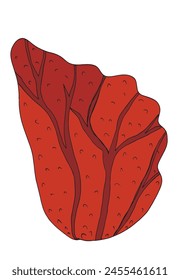 Ilustración de contorno Imagen de Vector de un coral.
Obra de arte dibujada a mano de un coral.
Simple lindo logotipo original.
Ilustración vectorial dibujada a mano para carteles.