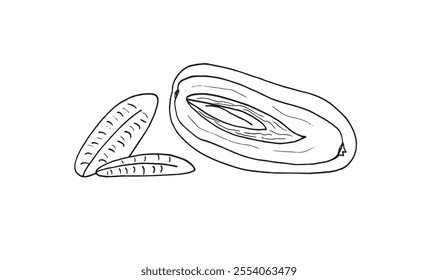 Outline illustration vector image of a dates.
Hand drawn artwork of a dates fruit.
Simple cute original logo.
Hand drawn vector illustration for posters.