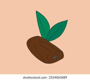 Outline illustration vector image of a dates.
Hand drawn artwork of a dates fruit.
Simple cute original logo.
Hand drawn vector illustration for posters.