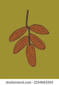Outline illustration vector image of a dates.
Hand drawn artwork of a dates fruit.
Simple cute original logo.
Hand drawn vector illustration for posters.