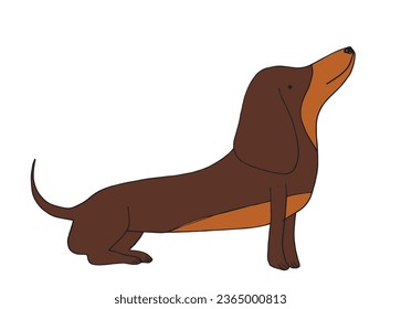 Outline illustration vector image of a doxie dog.
Hand drawn artwork of a dachshund. 
Simple cute original logo.
Hand drawn vector illustration for posters, cards, t-shirts.