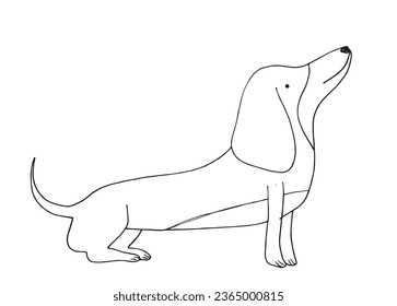 Outline illustration vector image of a doxie dog.
Hand drawn artwork of a dachshund. 
Simple cute original logo.
Hand drawn vector illustration for posters, cards, t-shirts.