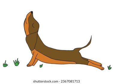 Outline illustration vector image of a doxie.
Hand drawn artwork of a dachshund. 
Simple cute original logo.
Hand drawn vector illustration for posters, cards, t-shirts.