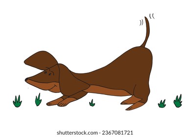 Outline illustration vector image of a doxie.
Hand drawn artwork of a dachshund. 
Simple cute original logo.
Hand drawn vector illustration for posters, cards, t-shirts.