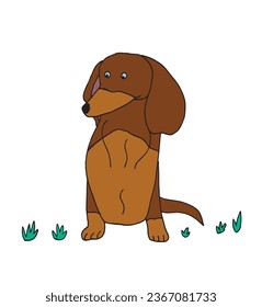 Outline illustration vector image of a doxie.
Hand drawn artwork of a dachshund. 
Simple cute original logo.
Hand drawn vector illustration for posters, cards, t-shirts.
