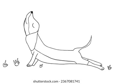 Outline illustration vector image of a doxie.
Hand drawn artwork of a dachshund. 
Simple cute original logo.
Hand drawn vector illustration for posters, cards, t-shirts.