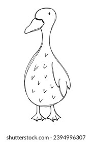 Outline illustration vector image of a duck.
Hand drawn artwork of a duck.
Simple cute original logo.
Hand drawn vector illustration for posters, cards, t-shirts.