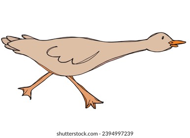 Outline illustration vector image of a duck.
Hand drawn artwork of a duck.
Simple cute original logo.
Hand drawn vector illustration for posters, cards, t-shirts.