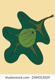 Outline illustration vector image of a fig.
Hand drawn artwork of a figs.
Simple cute original logo.
Hand drawn vector illustration for posters.