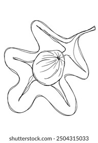 Outline illustration vector image of a fig.
Hand drawn artwork of a figs.
Simple cute original logo.
Hand drawn vector illustration for posters.