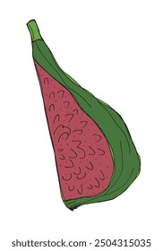 Outline illustration vector image of a fig.
Hand drawn artwork of a figs.
Simple cute original logo.
Hand drawn vector illustration for posters.