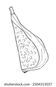 Outline illustration vector image of a fig.
Hand drawn artwork of a figs.
Simple cute original logo.
Hand drawn vector illustration for posters.