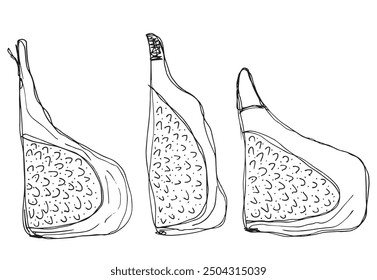 Outline illustration vector image of a fig.
Hand drawn artwork of a figs.
Simple cute original logo.
Hand drawn vector illustration for posters.