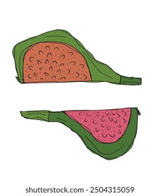 Esquema ilustración Vector Imagen de una fig.
Dibujado a mano obra de arte de un higo.
Logo original lindo simple.
Ilustración vectorial dibujada a mano para carteles.