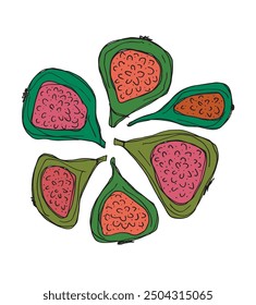Outline illustration vector image of a fig.
Hand drawn artwork of a figs.
Simple cute original logo.
Hand drawn vector illustration for posters.