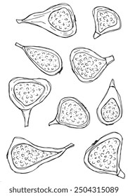 Outline illustration vector image of a fig.
Hand drawn artwork of a figs.
Simple cute original logo.
Hand drawn vector illustration for posters.